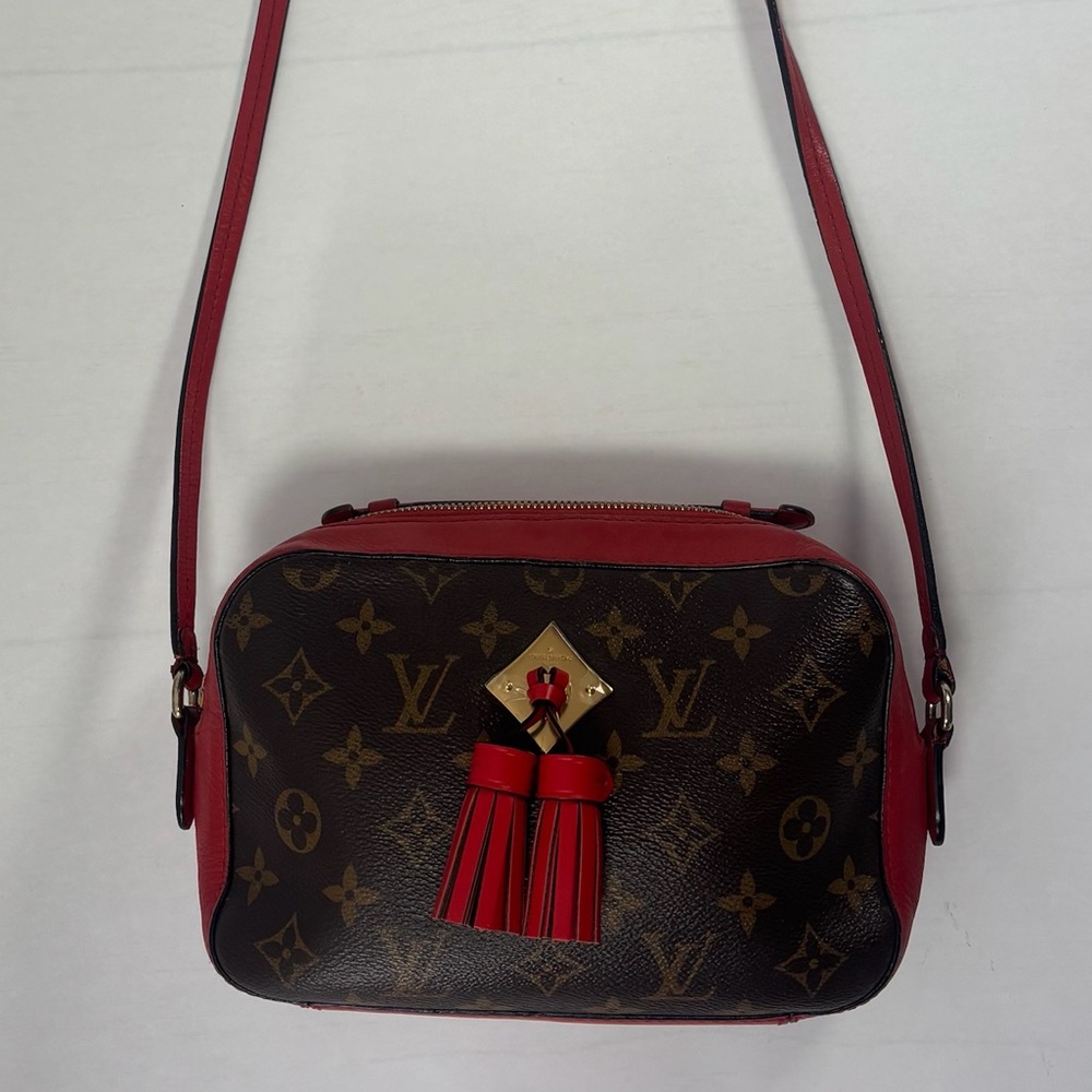 Louis Vuitton Monogram Saintogne